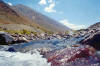 Cajon del Maipo